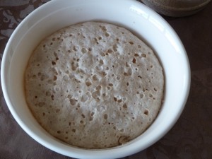 P1050638