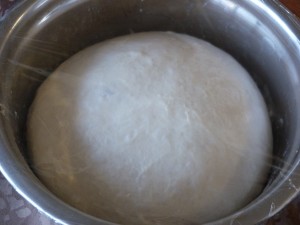 P1050642