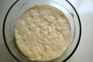 duro-manitoba-sponge
